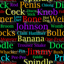 Load image into Gallery viewer, *BACK ORDER* Penis Names