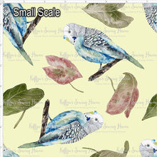 Load image into Gallery viewer, *BACK ORDER* Budgies