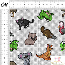 Load image into Gallery viewer, *BACK ORDER* Aussie Animals CLEAR VINYL