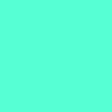 Load image into Gallery viewer, *BACK ORDER* DPHD 80&#39;s Solids