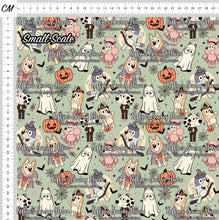 Load image into Gallery viewer, *BACK ORDER* SD Halloween Bluey Green