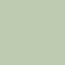 Load image into Gallery viewer, *BACK ORDER* SD Halloween Bluey Solids