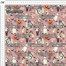 Load image into Gallery viewer, *BACK ORDER* SD Halloween Bluey Pink