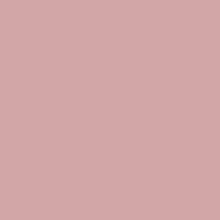 Load image into Gallery viewer, *BACK ORDER* SD Halloween Bluey Solids