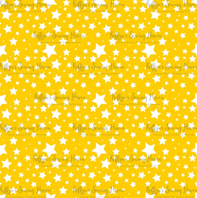 *BACK ORDER* Sketch Princesses Librarian Stars