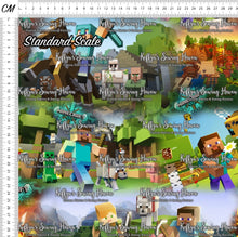 Load image into Gallery viewer, *BACK ORDER* Minecraft 3D