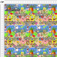 Load image into Gallery viewer, *BACK ORDER* Sponge Scene