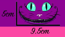 Load image into Gallery viewer, *BACK ORDER* Mad Cat Stripes Pink