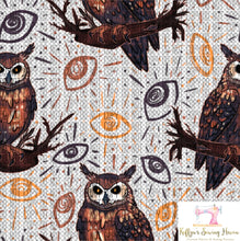Load image into Gallery viewer, *BACK ORDER* Hex Familiars Owl CLEAR VINYL