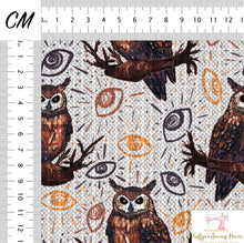Load image into Gallery viewer, *BACK ORDER* Hex Familiars Owl CLEAR VINYL