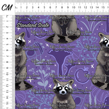 Load image into Gallery viewer, *BACK ORDER* Hex Familiars Raccoon