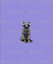 Load image into Gallery viewer, *BACK ORDER* Hex Familiars Raccoon Panels