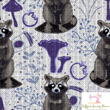 Load image into Gallery viewer, *BACK ORDER* Hex Familiars Raccoon CLEAR VINYL