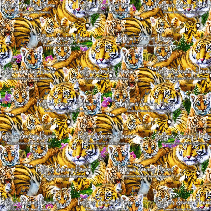 *BACK ORDER* Tiger Family