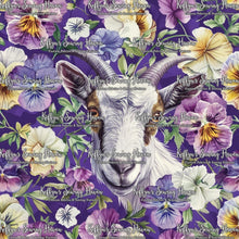 Load image into Gallery viewer, *BACK ORDER* Goat 1