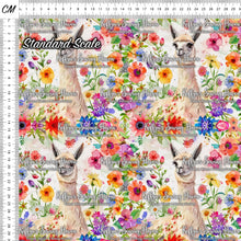 Load image into Gallery viewer, *BACK ORDER* Llama 3