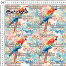 Load image into Gallery viewer, *BACK ORDER* Macaw