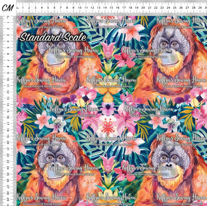 *BACK ORDER* Orangutan 2