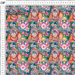*BACK ORDER* Orangutan 2