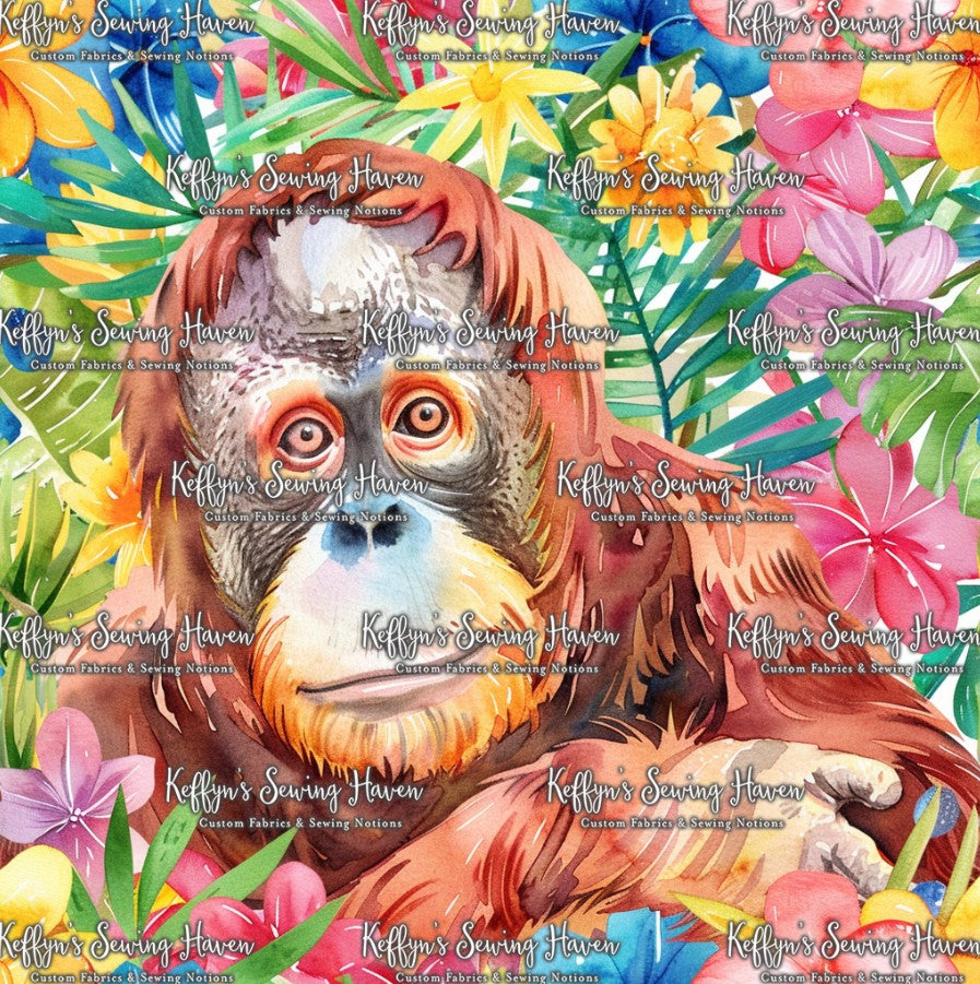 *BACK ORDER* Orangutan 3
