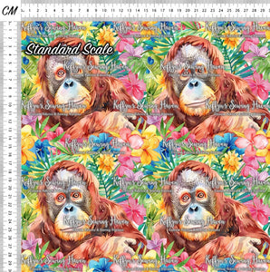 *BACK ORDER* Orangutan 3
