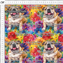 Load image into Gallery viewer, *BACK ORDER* English Bulldog 1