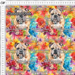 *BACK ORDER* English Bulldog 2