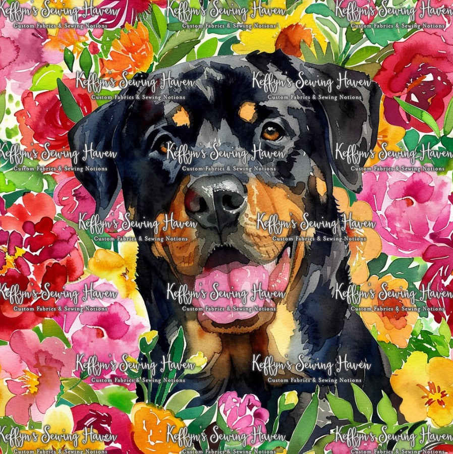 *BACK ORDER* Rottweiler 1