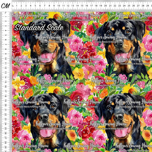 *BACK ORDER* Rottweiler 1