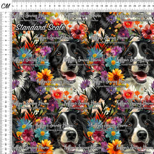 Load image into Gallery viewer, *BACK ORDER* Border Collie