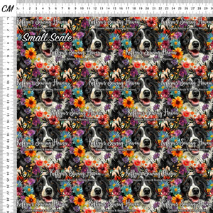*BACK ORDER* Border Collie