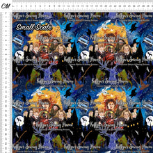 Load image into Gallery viewer, *BACK ORDER* Magic Express Main