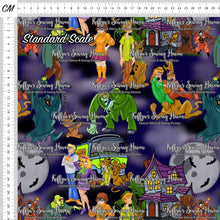Load image into Gallery viewer, *BACK ORDER* Chasing Ghosts Main