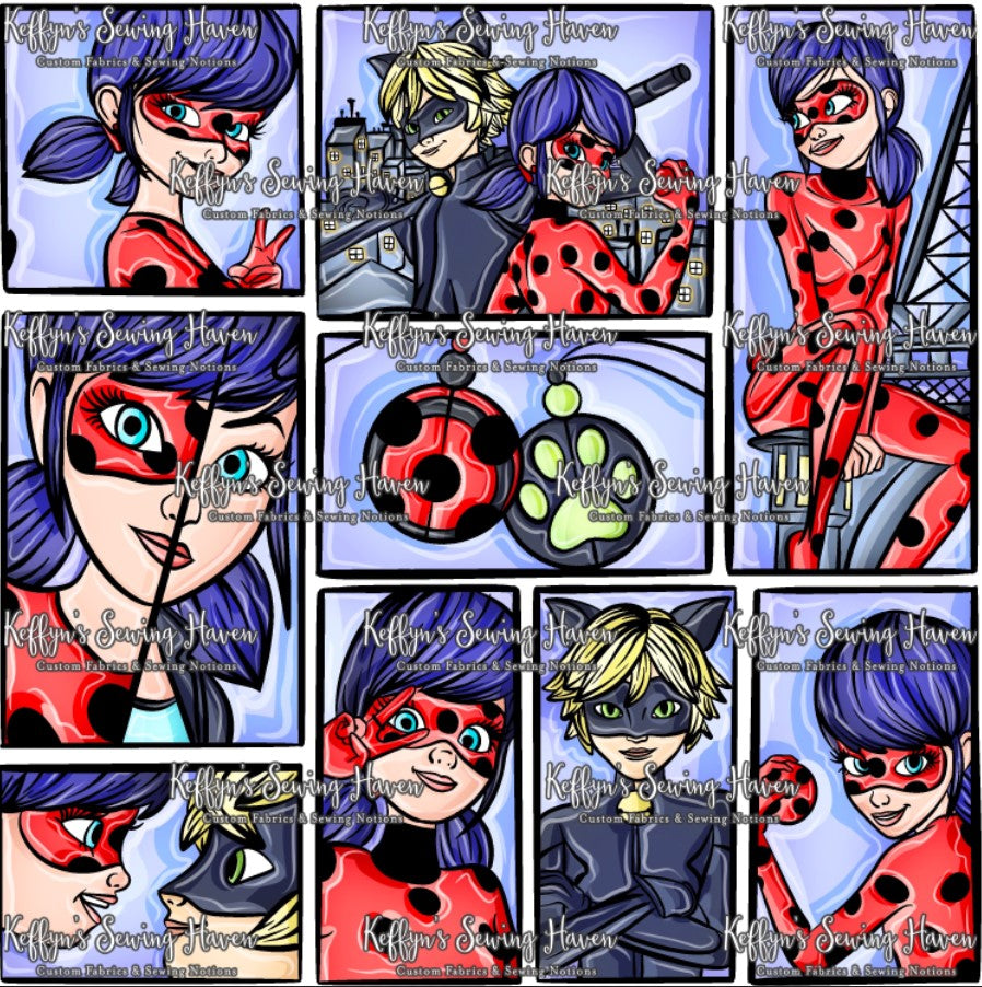 *BACK ORDER* Miraculous Duo Comic