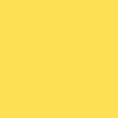 *BACK ORDER* Pika Mash Up Solid