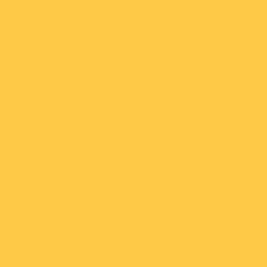*BACK ORDER* Psyduck Mash Up Solid