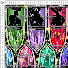 Load image into Gallery viewer, *BACK ORDER* Princess Windows XXL Size