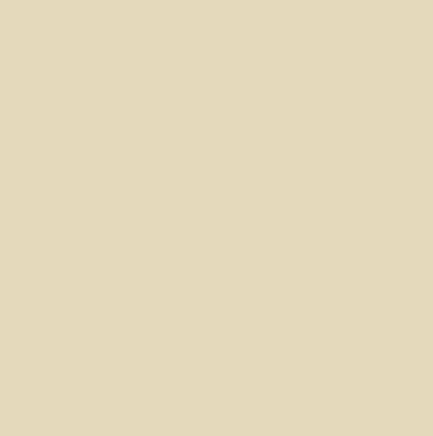 *BACK ORDER* Cute Wizard Country Beige Solid