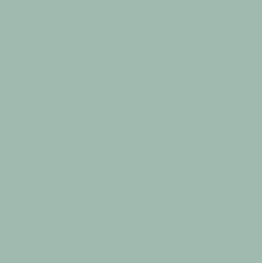 *BACK ORDER* Cute Wizard Country Green Solid