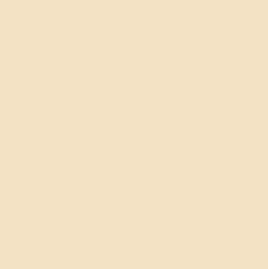*BACK ORDER* Blue Dog Easter Peach Solid