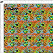 Load image into Gallery viewer, *BACK ORDER* Scooby Doo Main