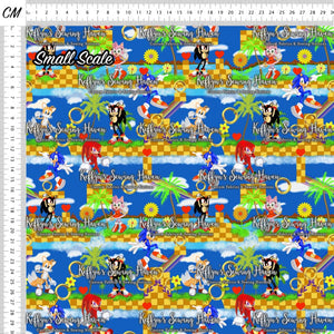 *BACK ORDER* Sonic Scene
