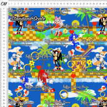 Load image into Gallery viewer, *BACK ORDER* Sonic Scene