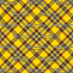 *BACK ORDER* Tartan #083