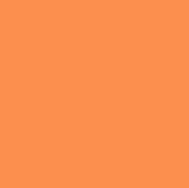 *BACK ORDER* WR Halloween Bluey Solid