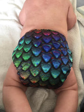 Load image into Gallery viewer, *BACK ORDER* Chromatic Scales