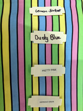 Load image into Gallery viewer, *BACK ORDER* Little Critters - Fox Rainbow 1cm Stripes