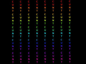 *BACK ORDER* Swear Pinstripe C*nt Rainbow Text