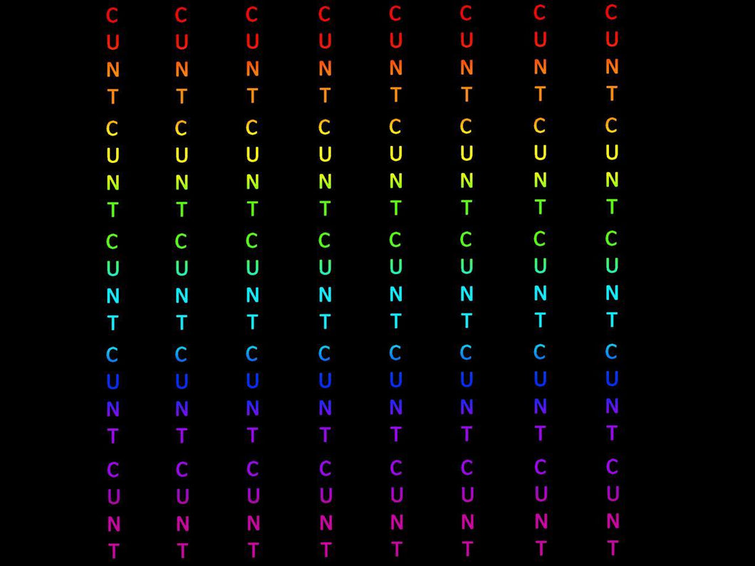 *BACK ORDER* Swear Pinstripe C*nt Rainbow Text