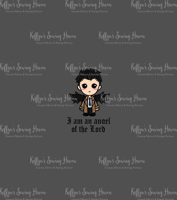 *BACK ORDER* The Hunters Angel of The Lord Panels